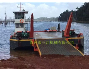 加蓬共和國客戶定制的擺渡船